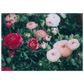 54e08dd8-ba73-4630-96b4-274ae3faeb54