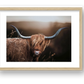 1590 — framed