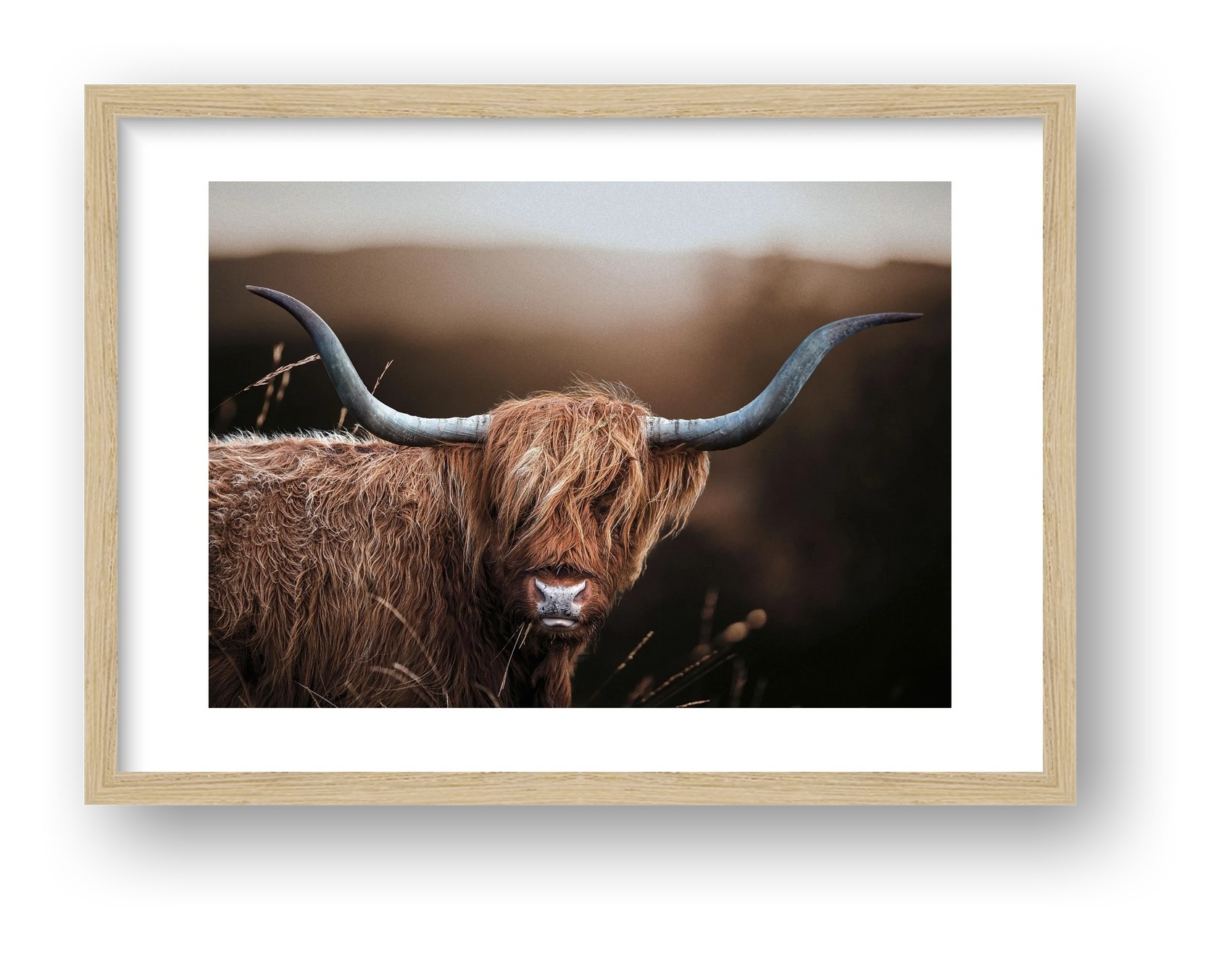 1590 — framed