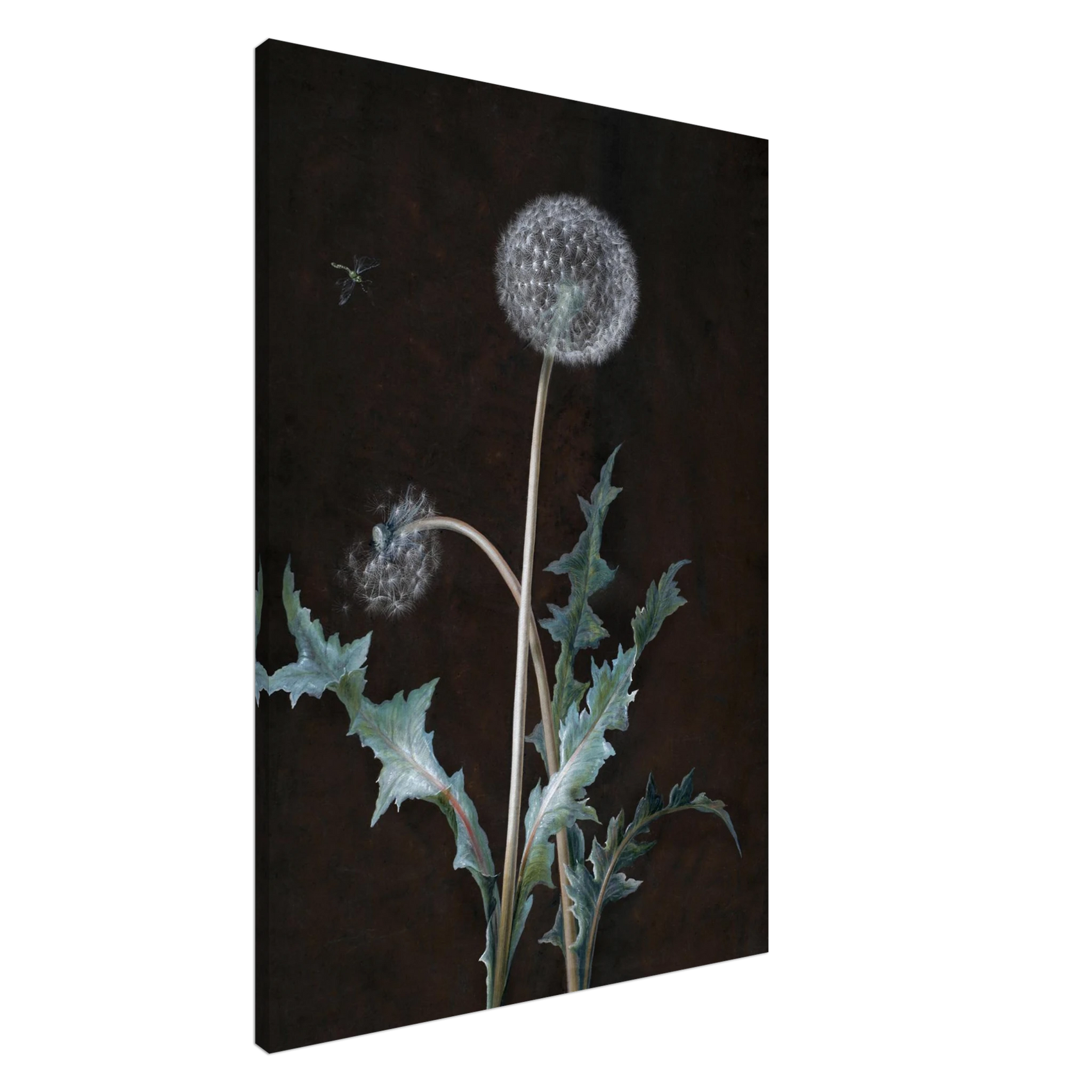 CANVAS - PD_Whimsical Dandelion Botanical Canvas Art Print - Elegant Nature Decor in Various Sizes