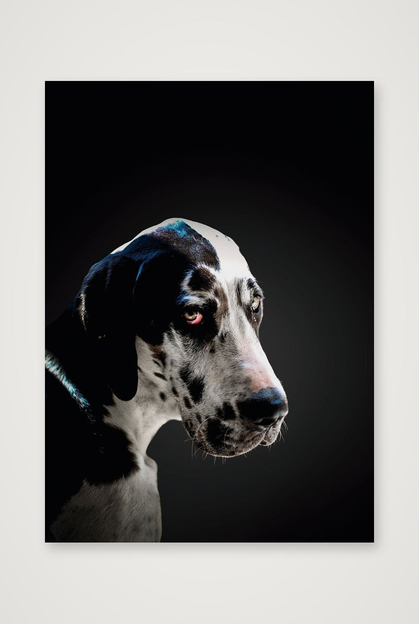 489 — 42×59cm, 17×23" Print only