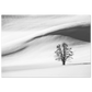56189ab4-b5f4-43bb-af7e-d3d68639d6c1