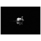 5675d026-2439-477f-9444-f58c19e67224