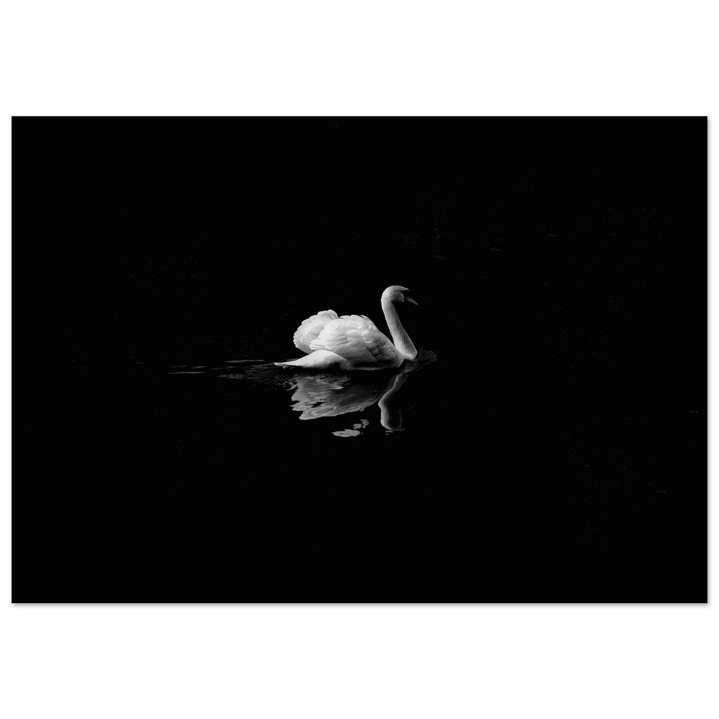 5675d026-2439-477f-9444-f58c19e67224