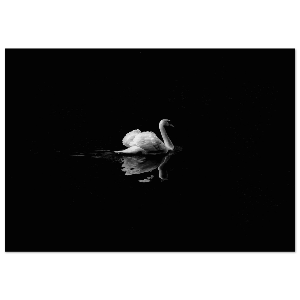 5675d026-2439-477f-9444-f58c19e67224