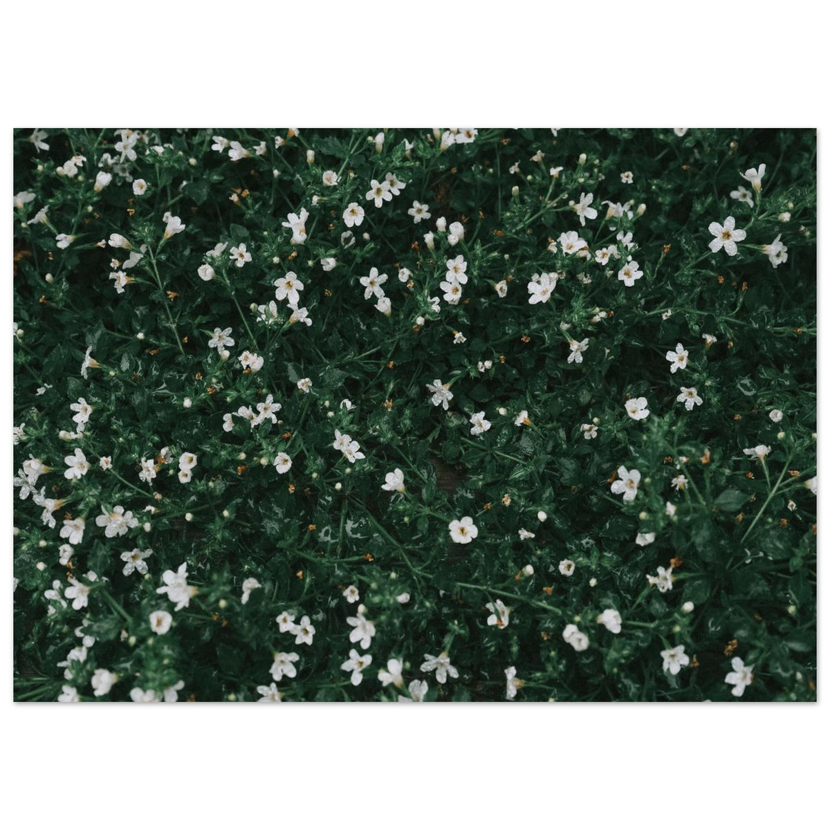 57324c85-8e66-44de-9d20-ae9319d502a5