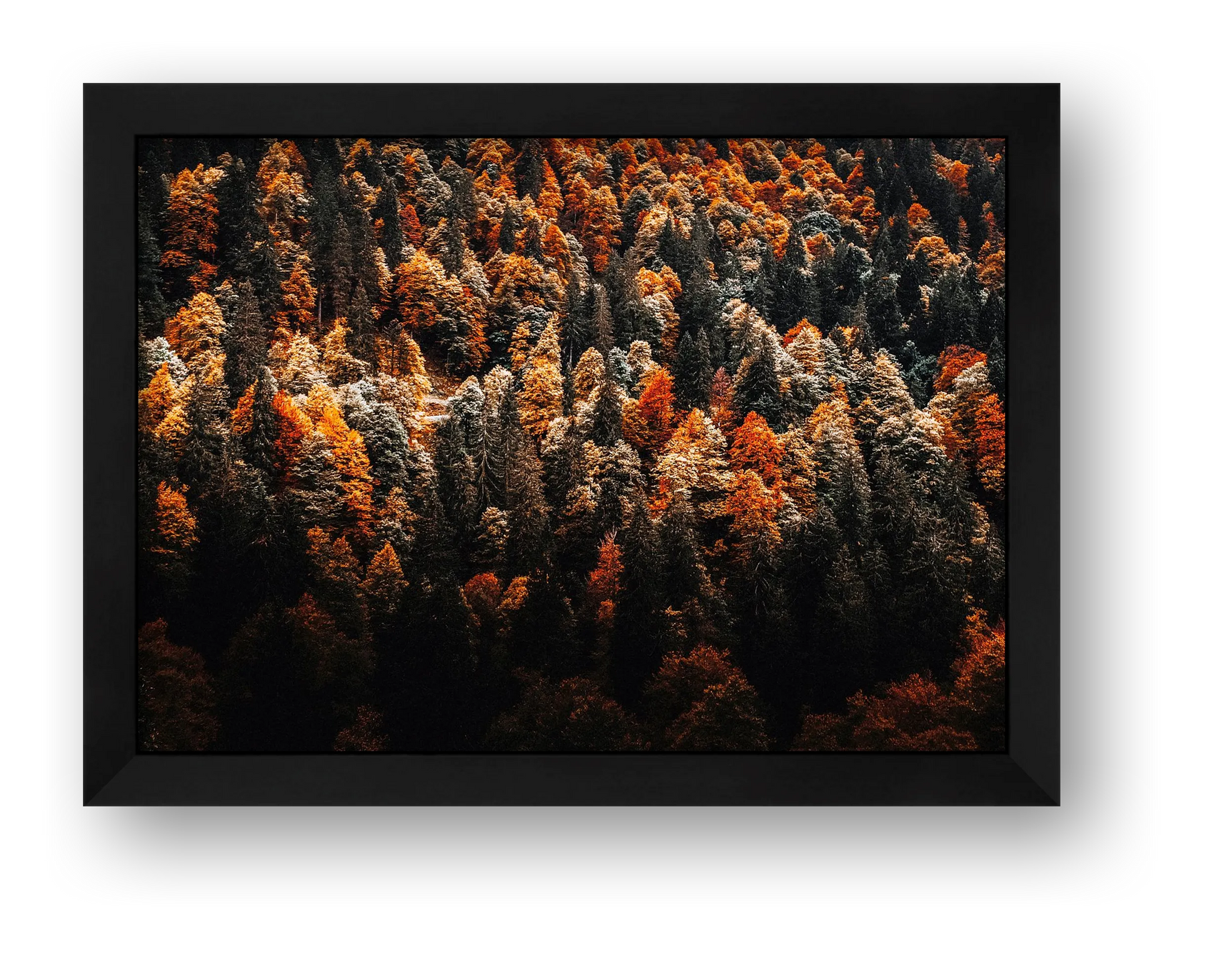 15 — framed