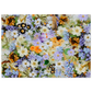 58f19c1e-cf09-49ee-aadc-937fae9c1e38