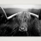 1586 — A4 (30×21cm, 12×8") Print only