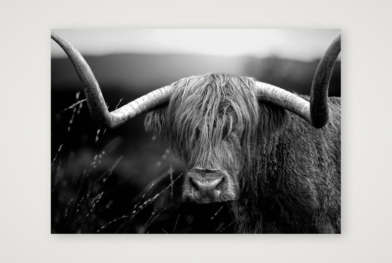 1586 — A4 (30×21cm, 12×8") Print only