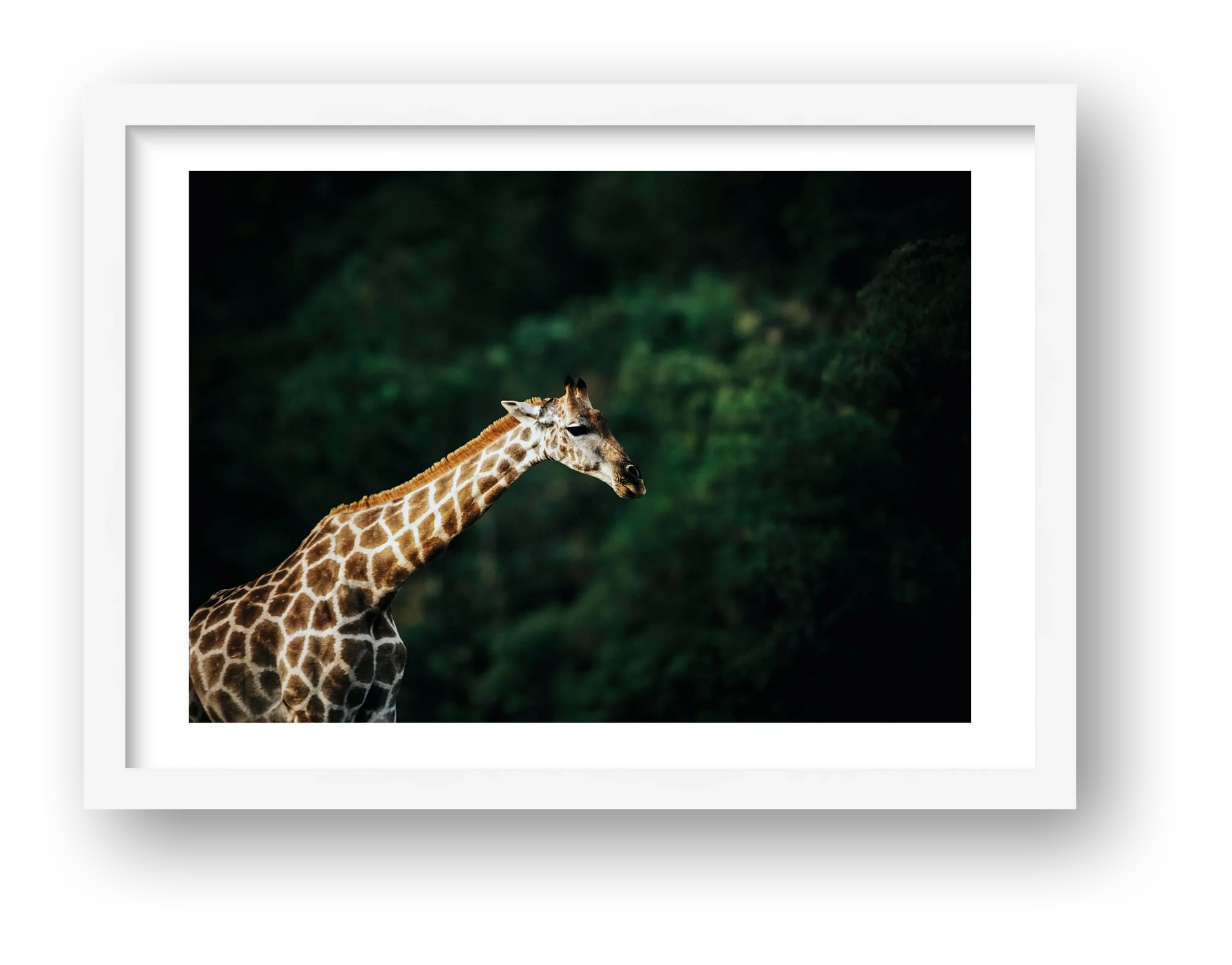 433 — framed