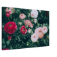 599c9573-b4e7-4d71-8f74-da42291f0472