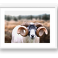 1589 — framed