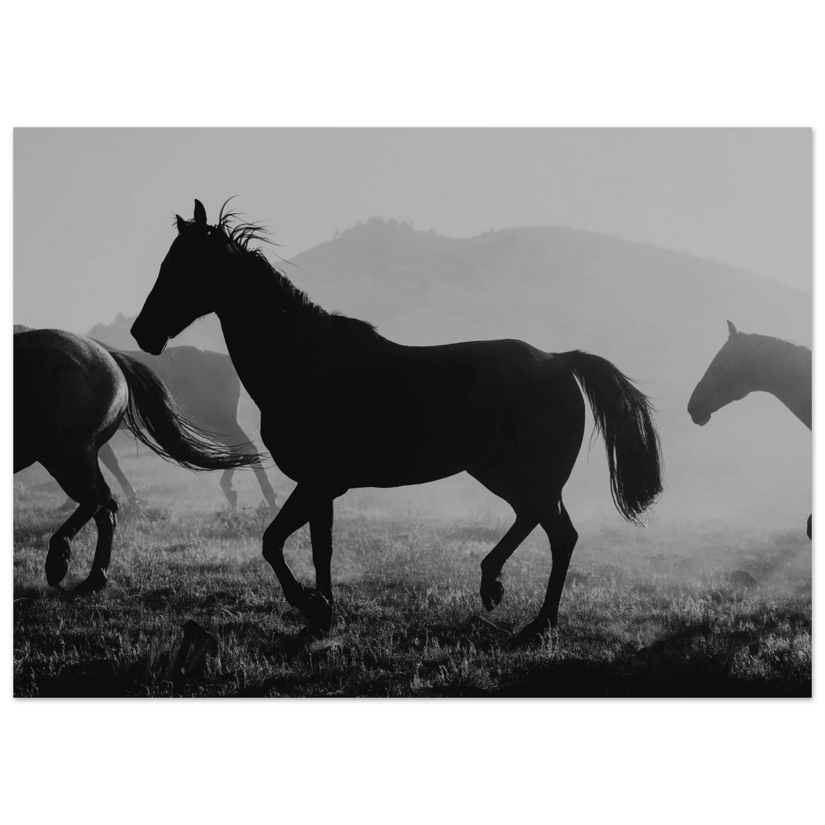 5aa09879-bb03-46f9-9fed-f5bf1a0f8893