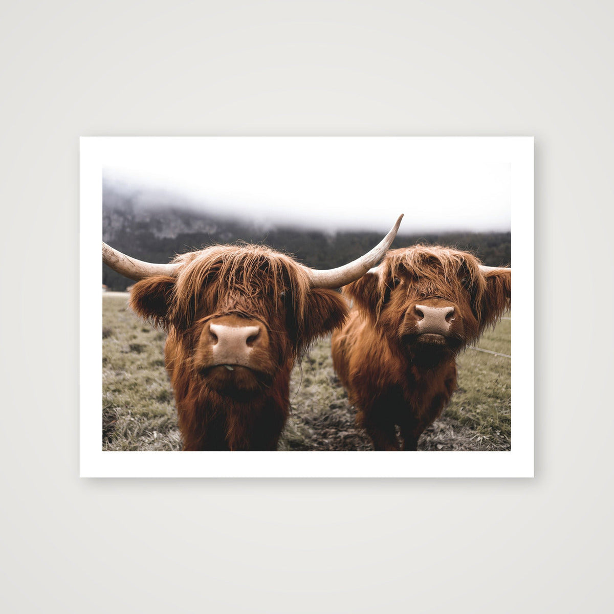 20 — 80×60cm, 31×24" Print only