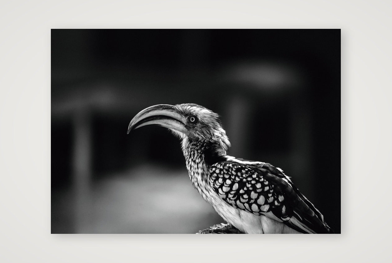 482 — A3 (42×30cm, 17×12") Print only
