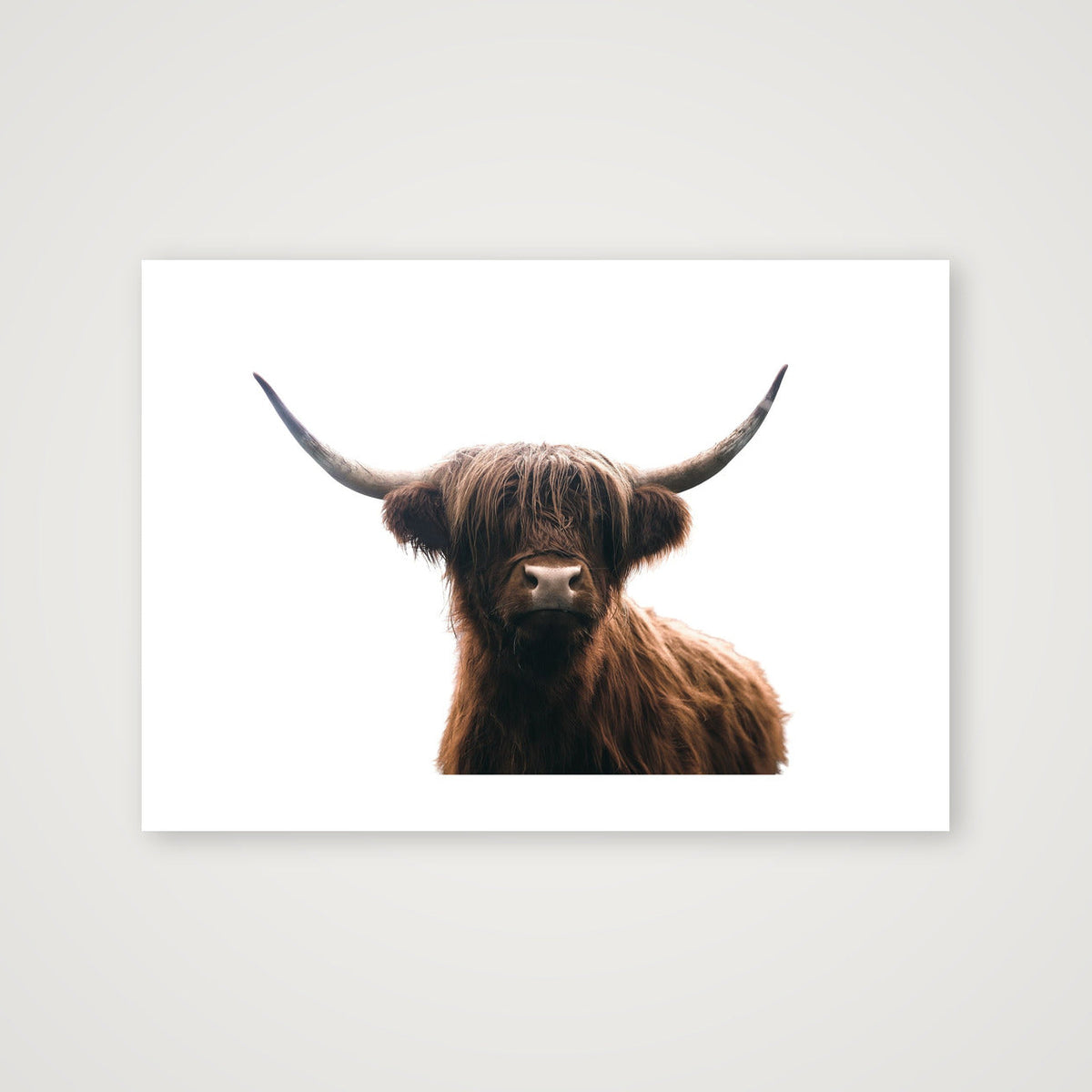 1331 — A3 (42×30cm, 17×12") Print only
