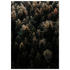 5b56ed09-2e79-440c-a48c-8785a2b5e89e