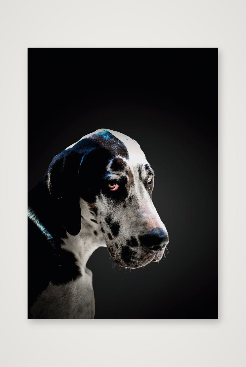 489 — 59×84cm, 23×33" Print only
