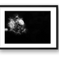 51 — framed