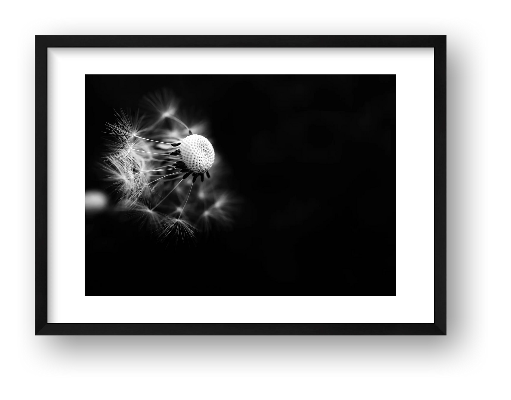 51 — framed