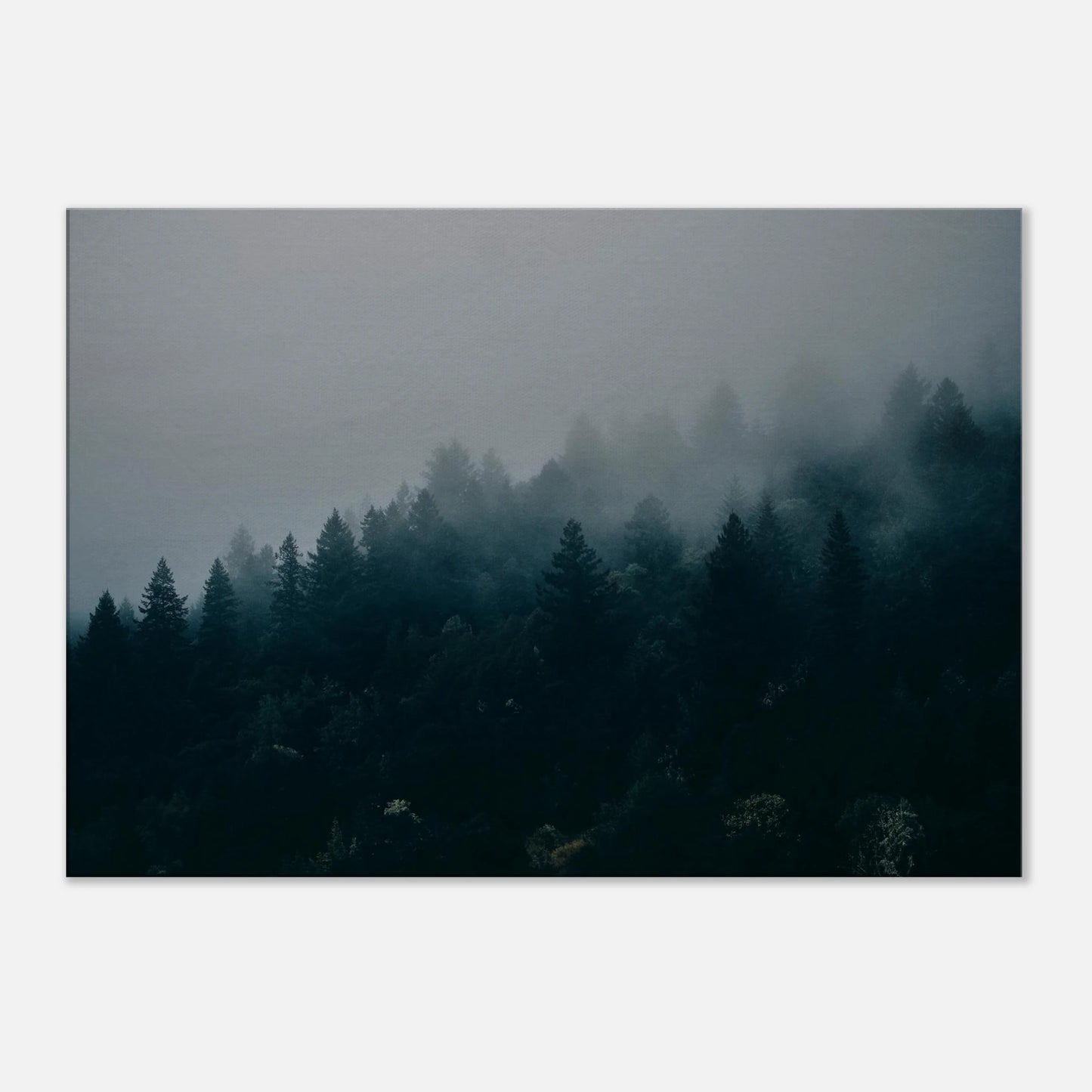 5c290cb8-ead7-4ed8-9fd4-e69a51c94926