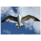 5d0a63bd-b346-46df-b03b-e17e71fea446