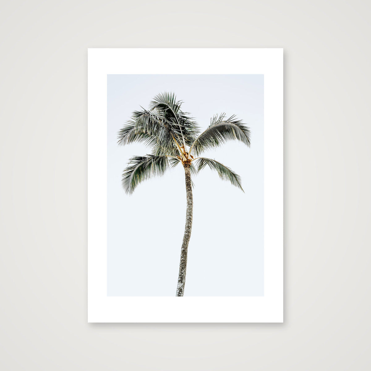 717 — 42×59cm, 17×23" Print only