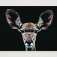 83 — 59×42cm, 23×17" Print only