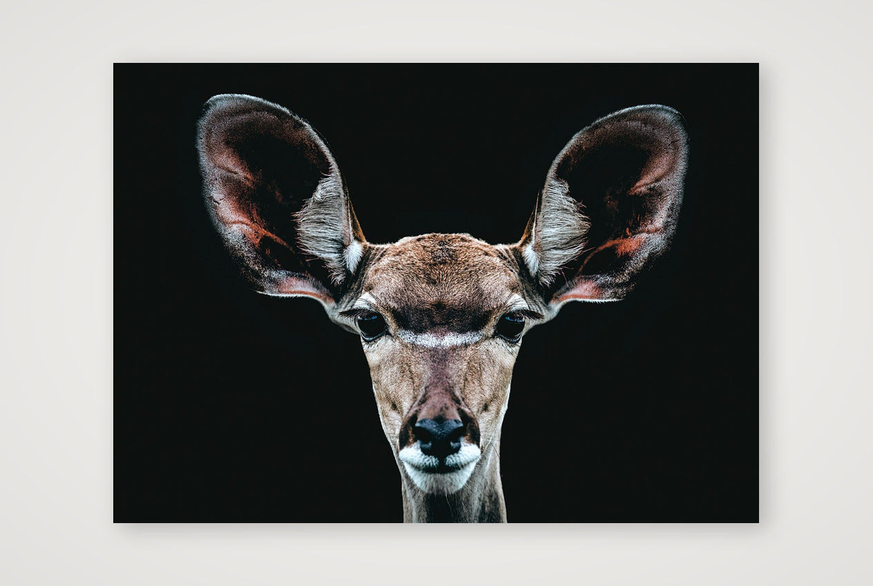 83 — 59×42cm, 23×17" Print only