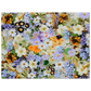 5f8f88fa-c2e1-47a3-bbfd-5ff4ab3a9685