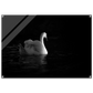 5f9698e7-12d8-4b12-b2a7-d0b72f0b7586