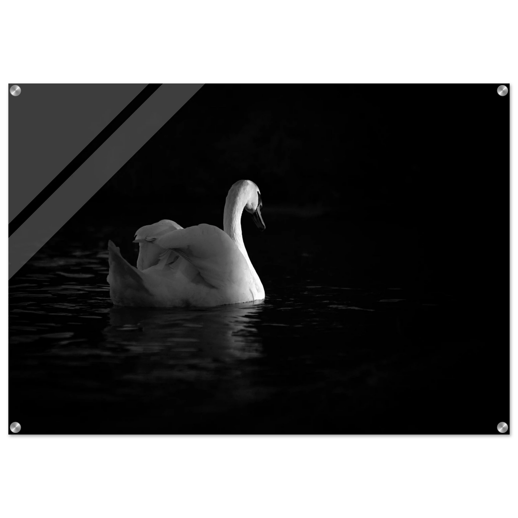 Acrylic Print