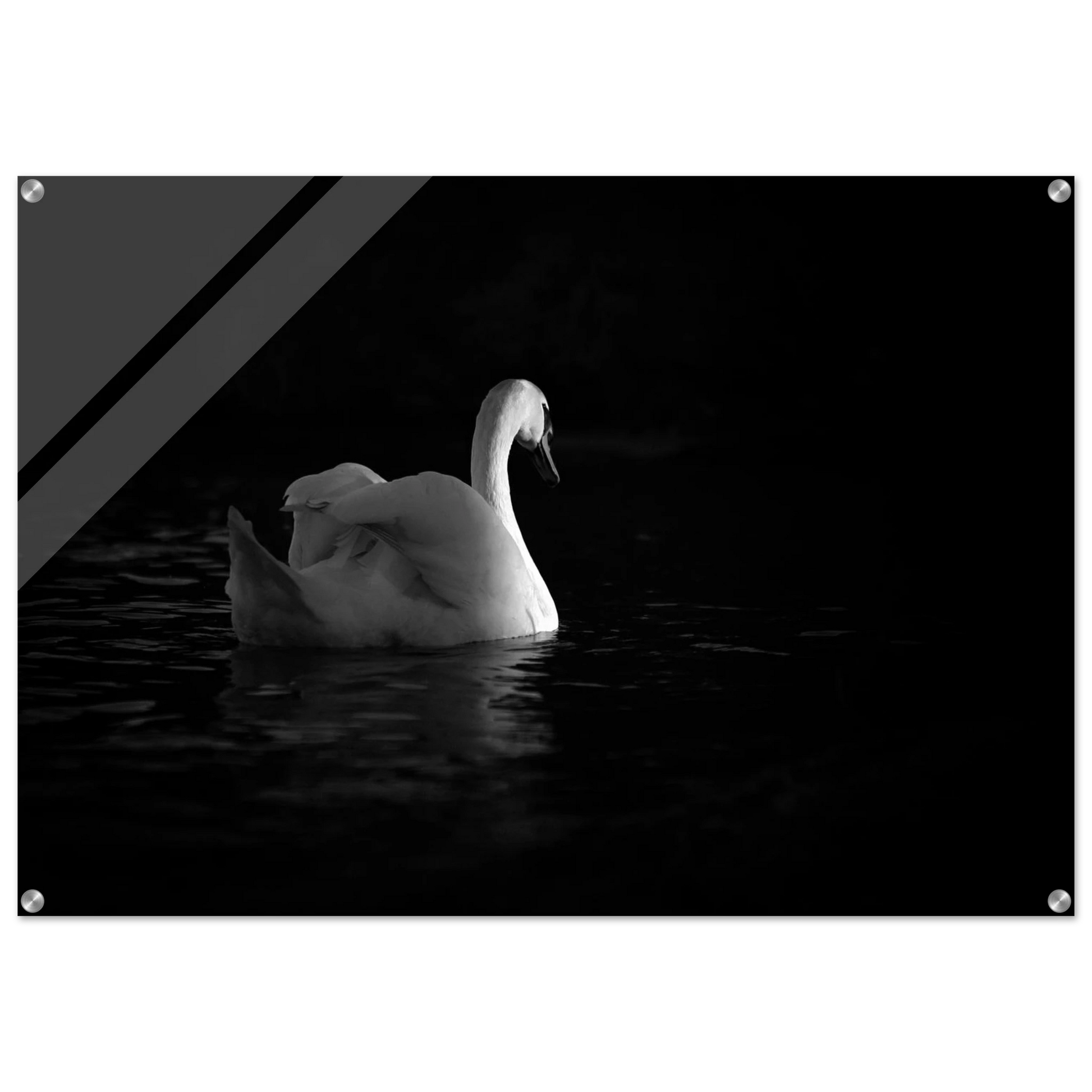 5f9698e7-12d8-4b12-b2a7-d0b72f0b7586