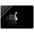 5f9698e7-12d8-4b12-b2a7-d0b72f0b7586