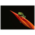 6080f34d-7f44-4bab-9766-cb9f2091288b