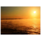 622f0179-9dc1-4793-a1ad-1e9a72eedb66