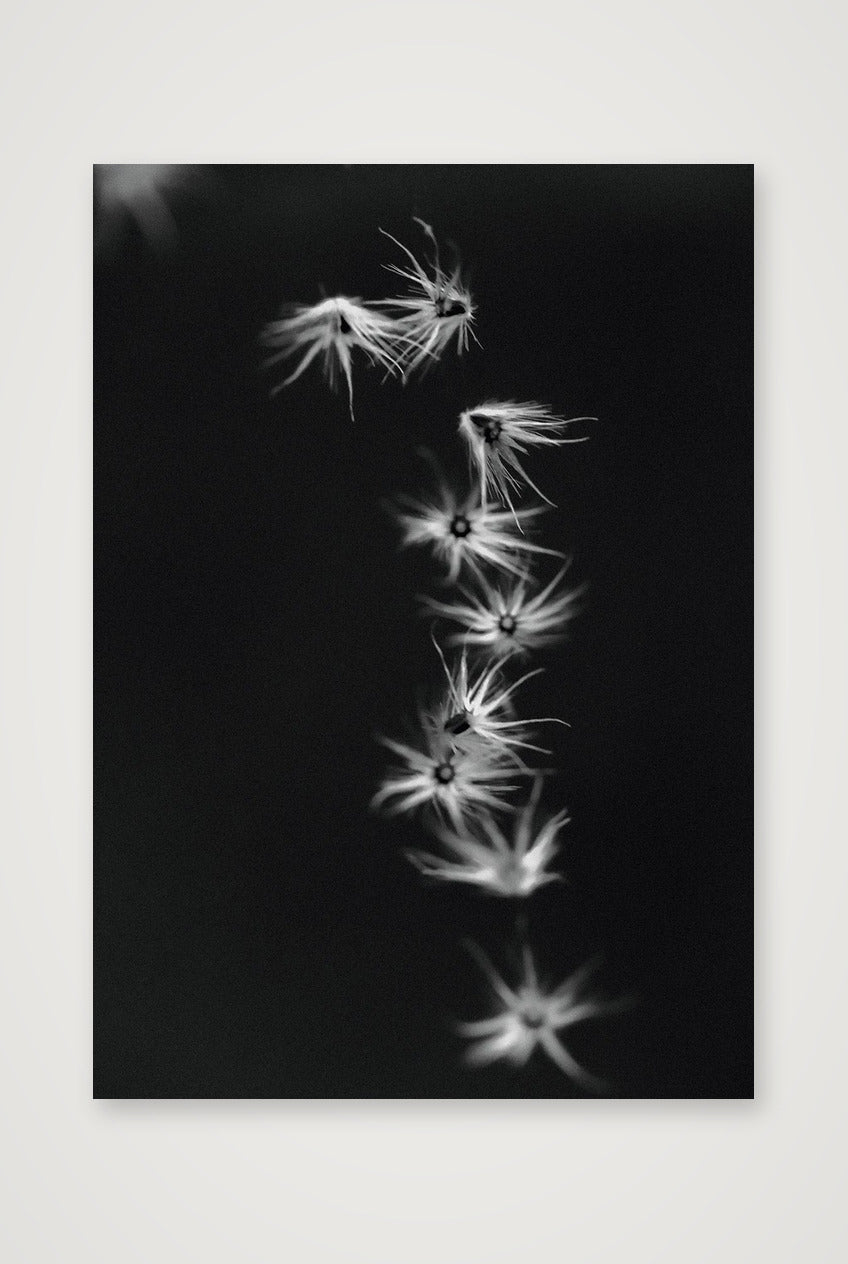 485 — A3 (30×42cm, 12×17") Print only