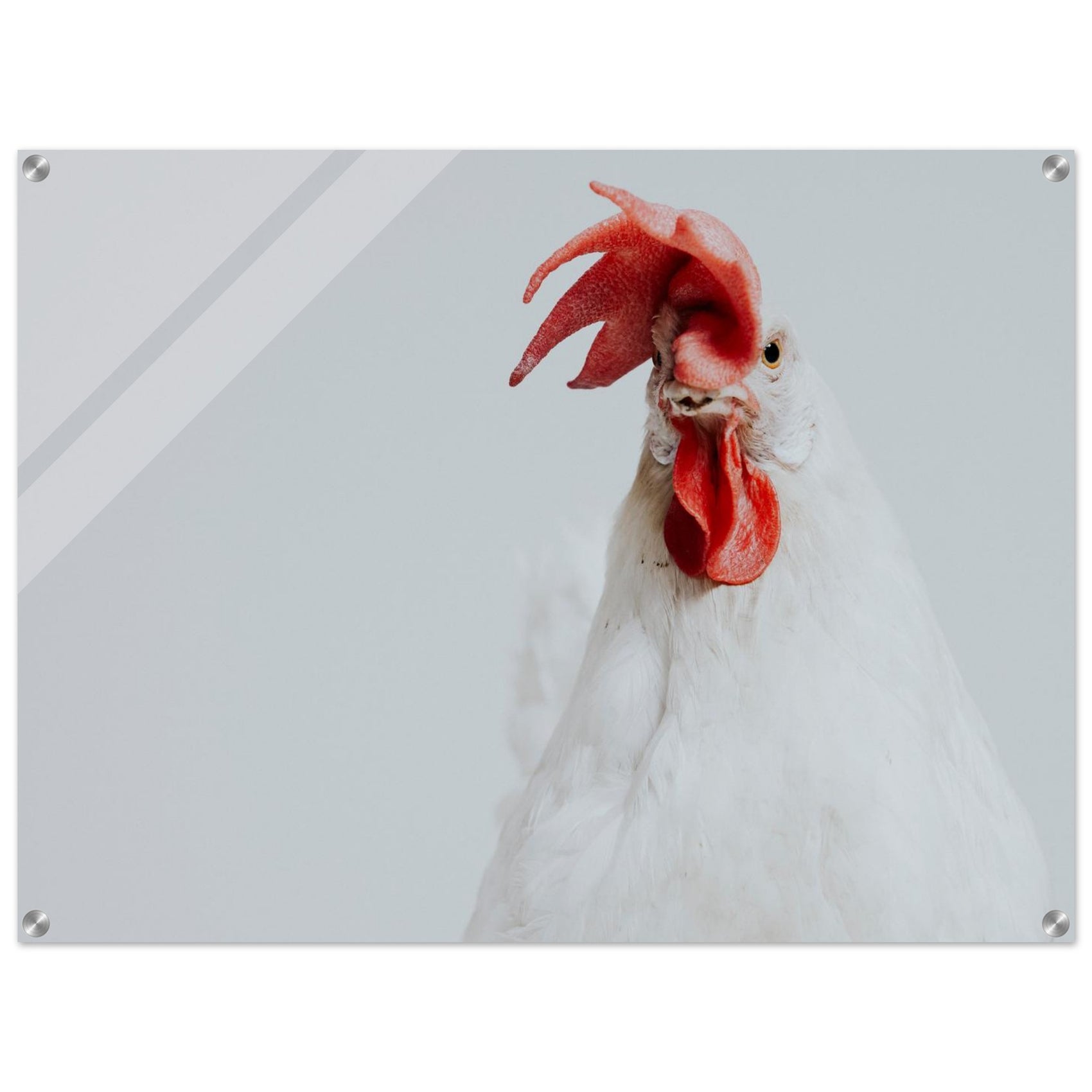 642042bb-20f5-4b88-a6ec-b9870c90dd01