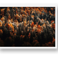 15 — framed