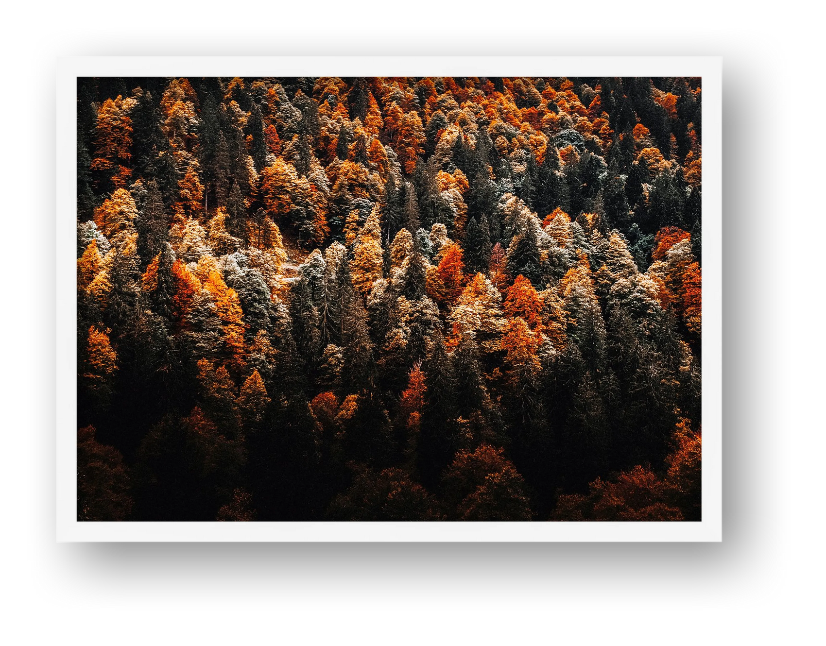 15 — framed
