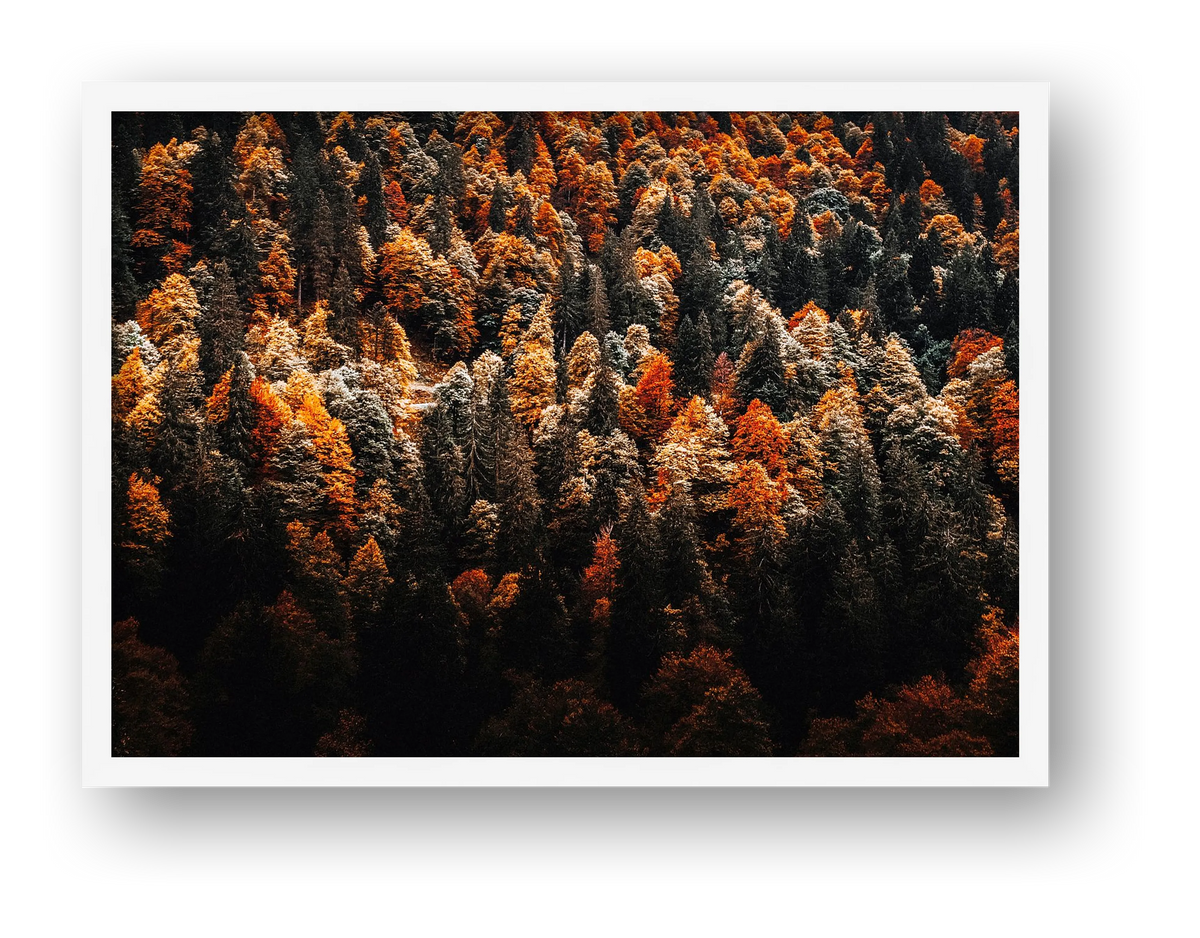 15 — framed
