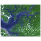 Unframed poster showing branching green and blue waterways in the Sierra Leone estuary seen from space