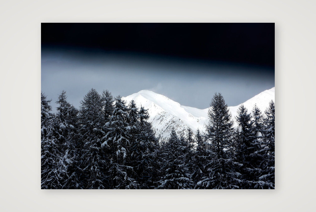 402 — 59×42cm, 23×17" Print only