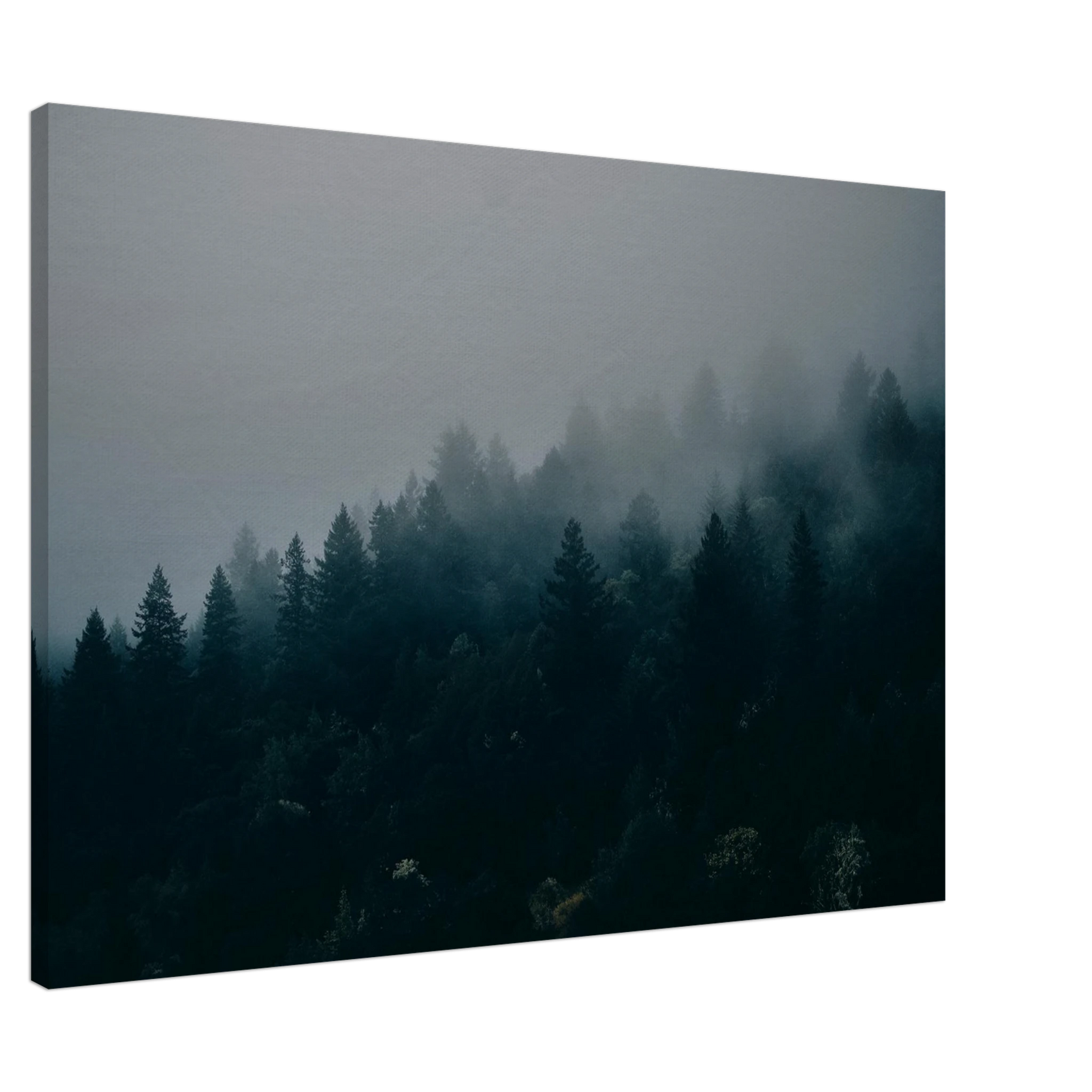Mystic Forest Mist - Premium Canvas Print, capturing the ethereal beauty of a fog-shrouded woodland in various sizes