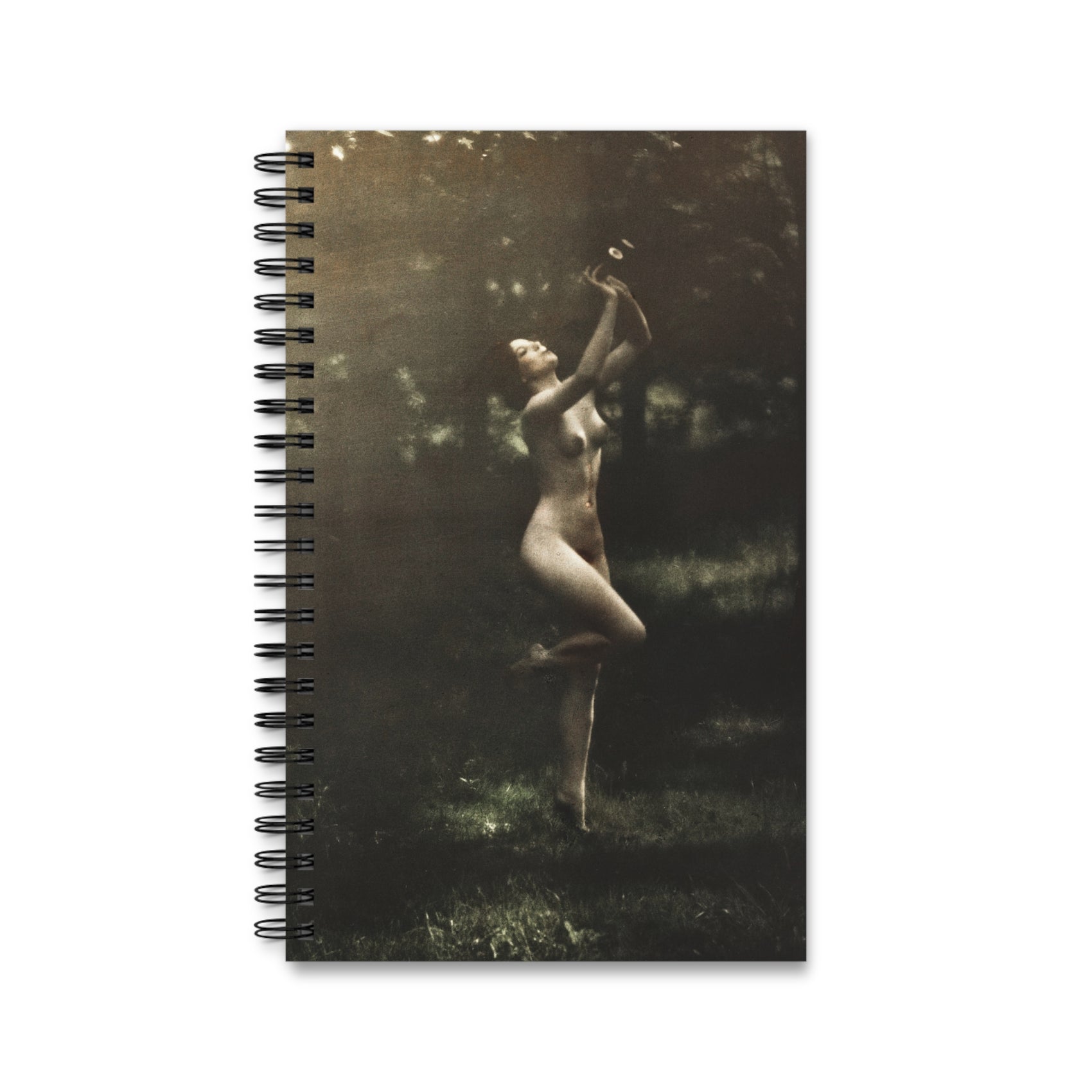 Spiral Notebook Dark Academia Gift Writer Desk Companion Literary Journal Gothic Stationery Book Club Present Creative Workspace Diary