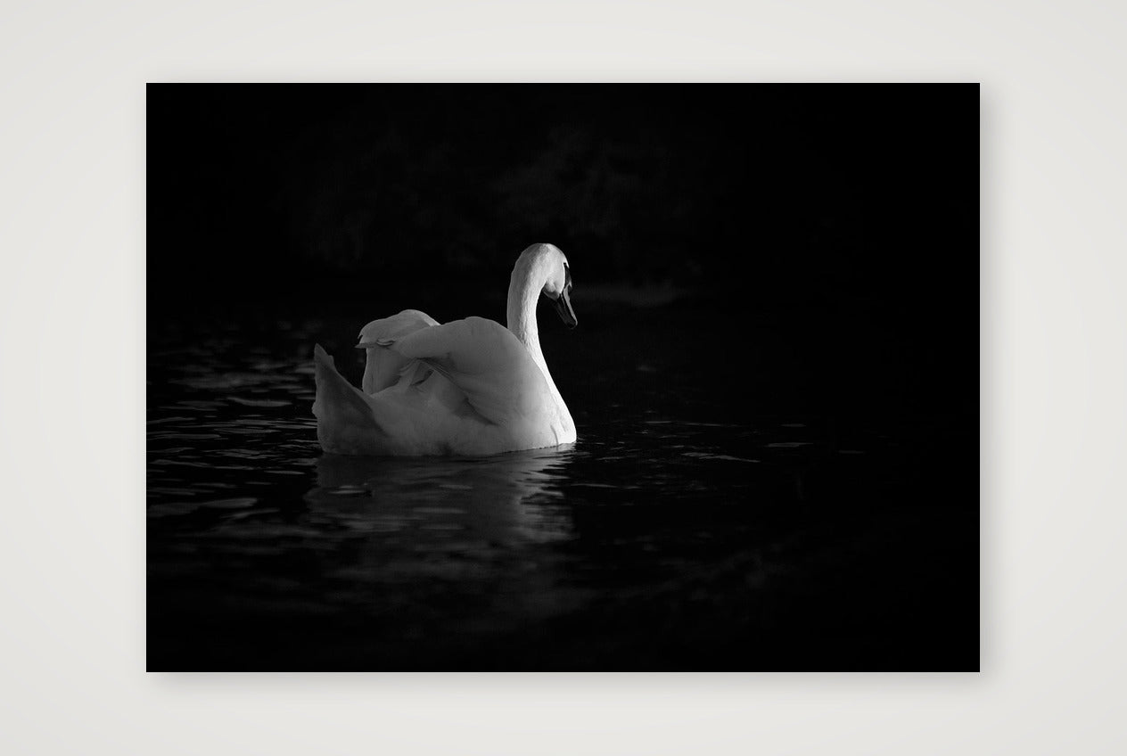 32 — A3 (42×30cm, 17×12") Print only