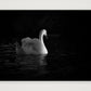 32 — A3 (42×30cm, 17×12") Print only