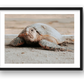 467 — framed