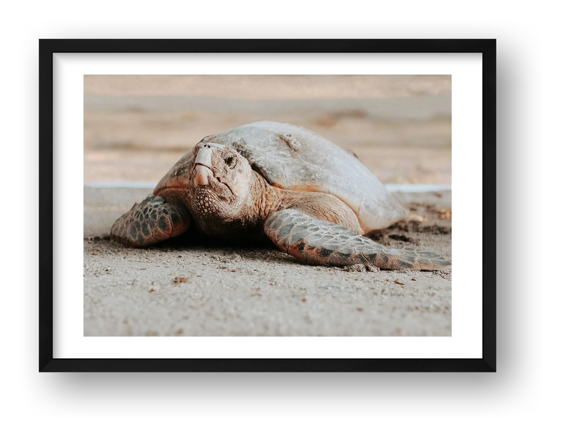 467 — framed